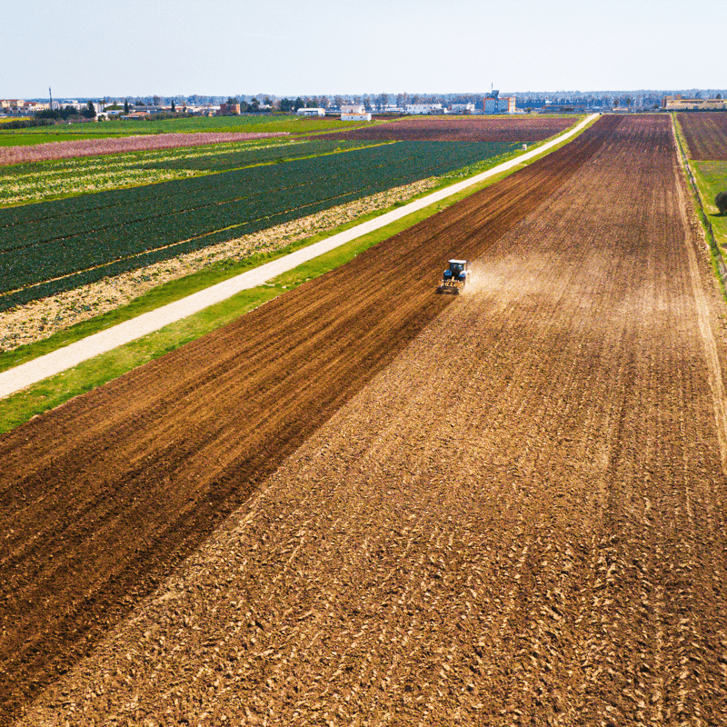 La piana del metapontino